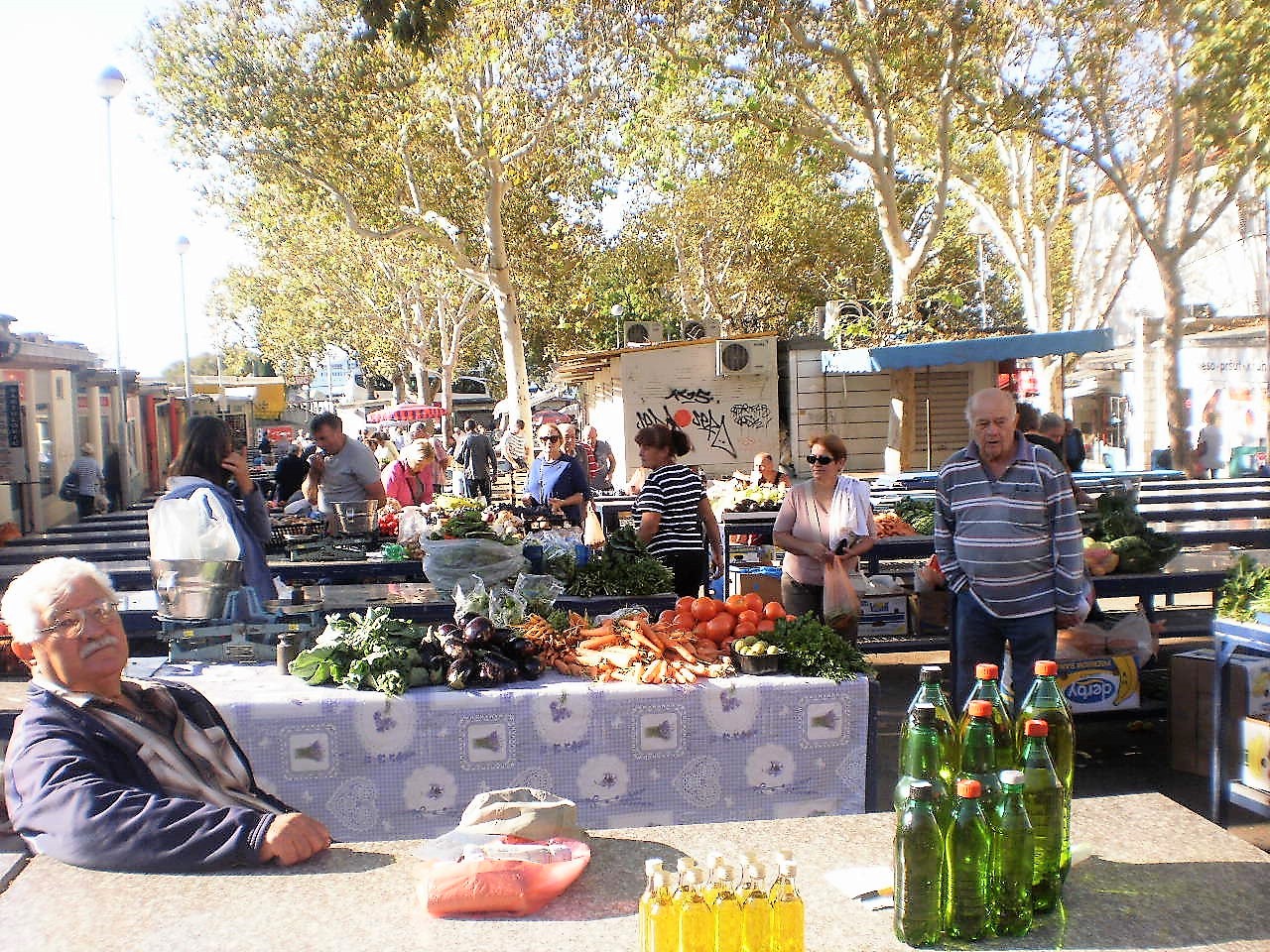 P8239792 (1) — kopia.JPG