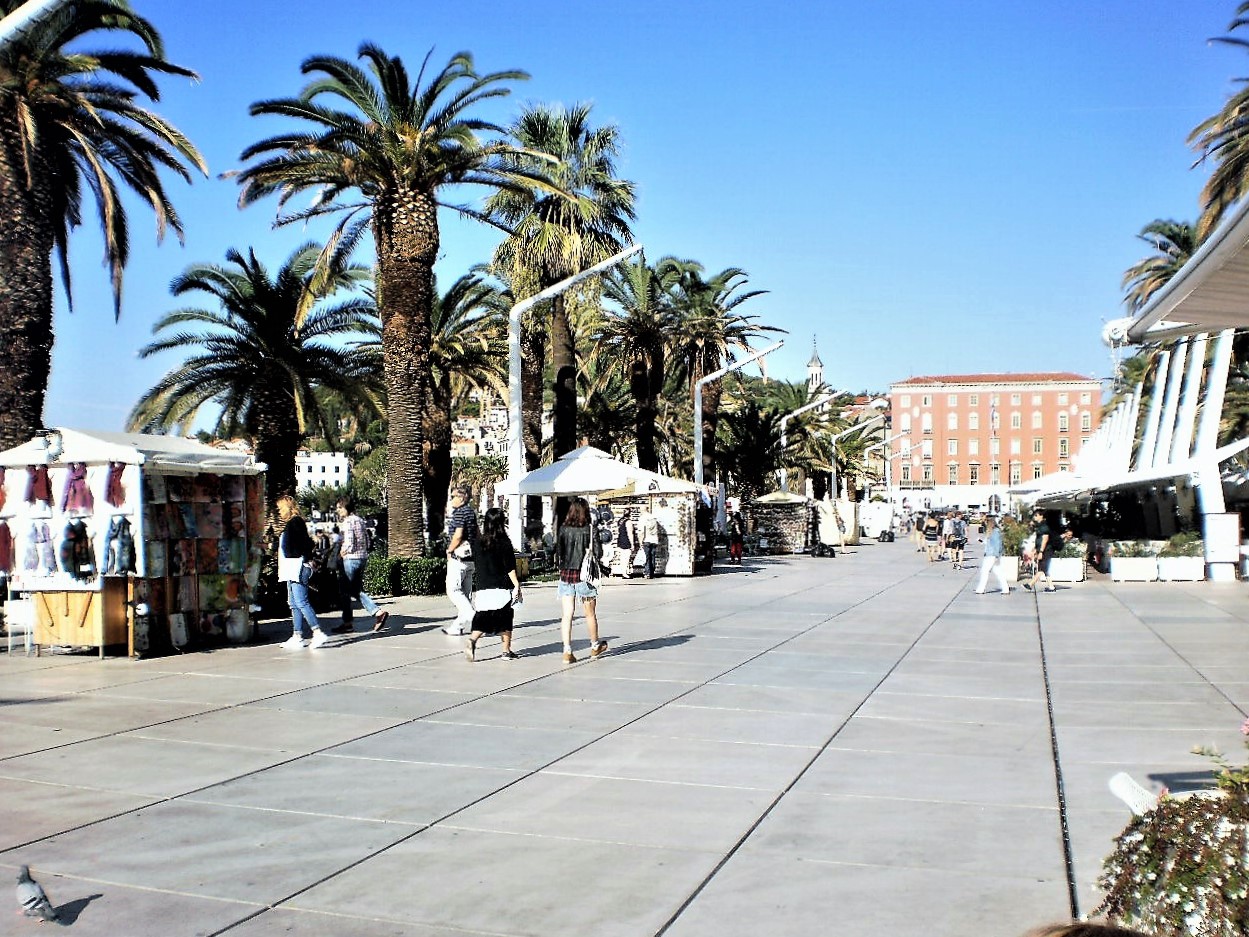 P8239801 (1) — kopia.JPG