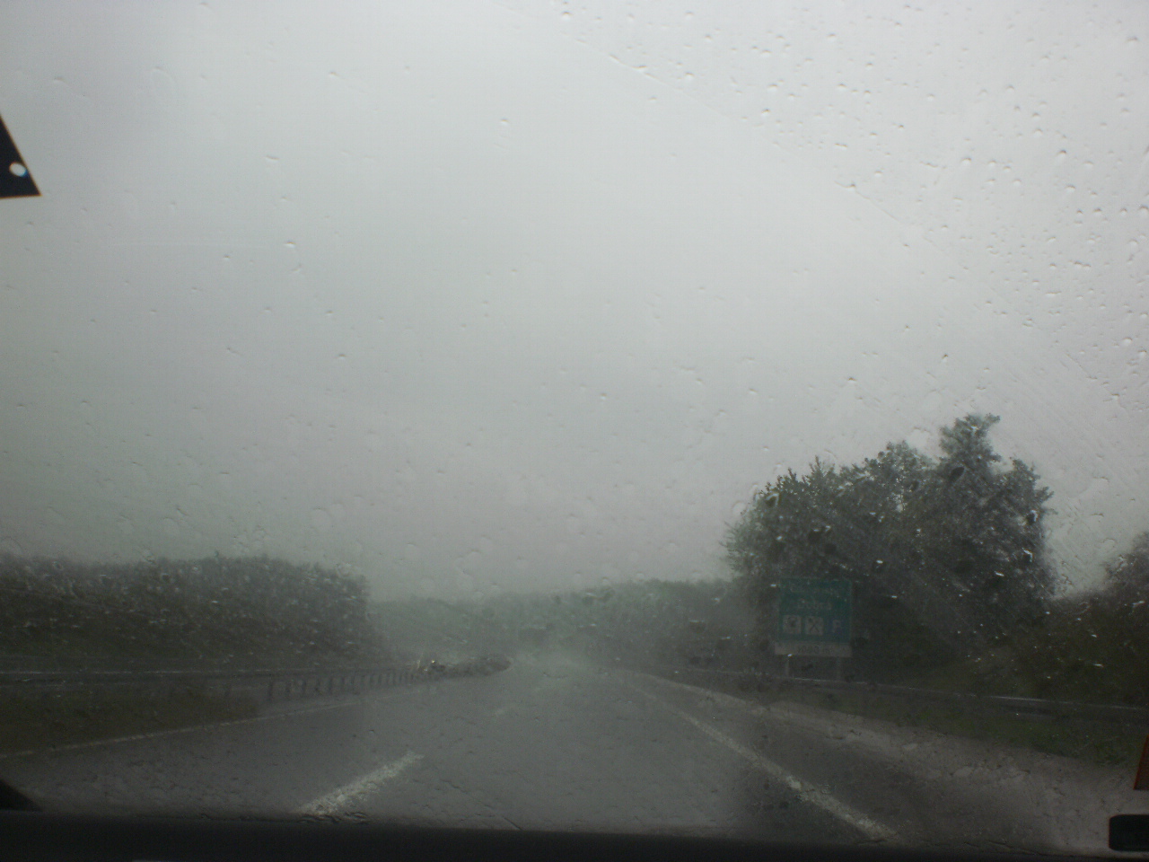 P8239824 (1) — kopia.JPG