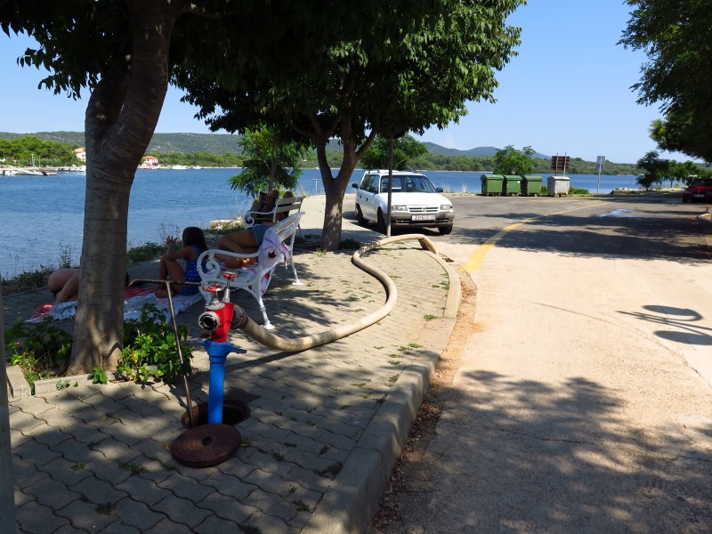 IMG_1320 (Custom).JPG