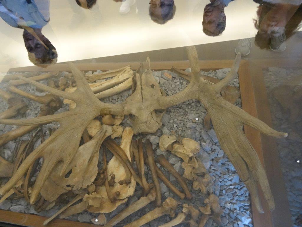 Słowenia maj 2018-05-21 143.jpg