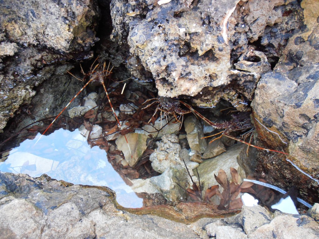 post-7016-0-66495700-1411061936 (1).jpg