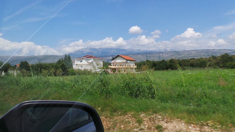 20140803_142254 (800x450).jpg