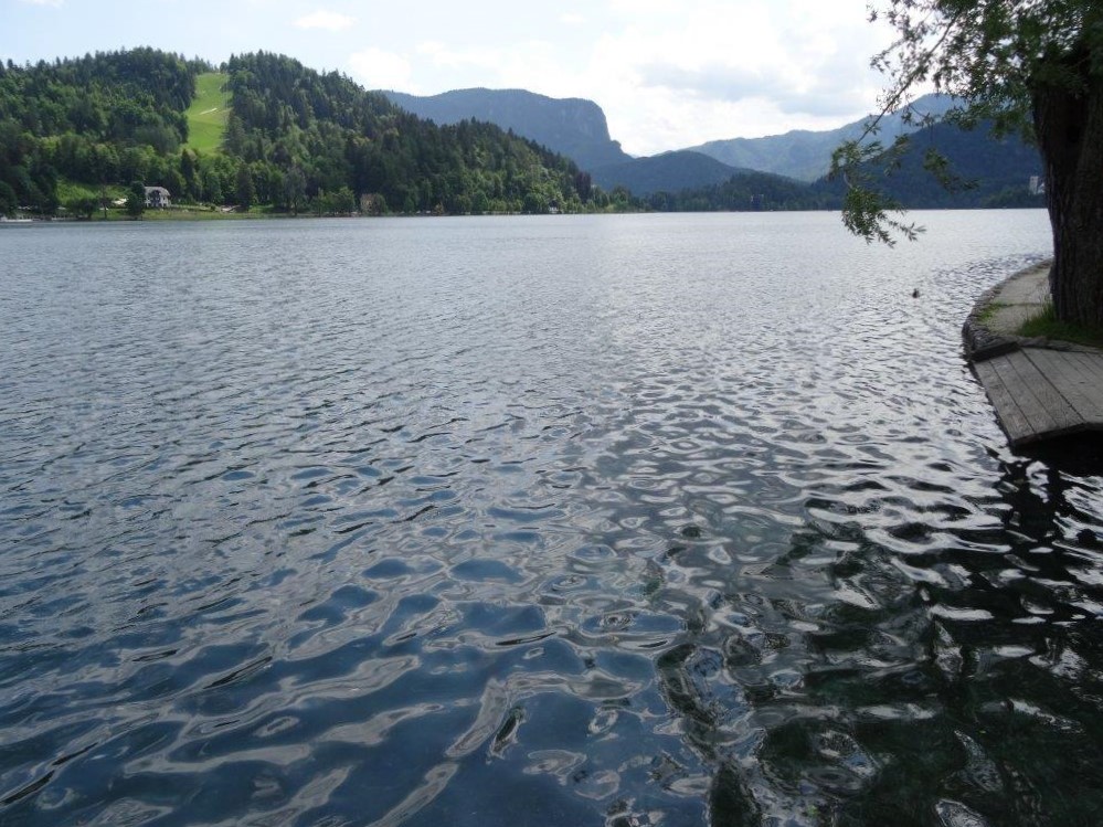 Słowenia maj 2018-05-21 191.jpg