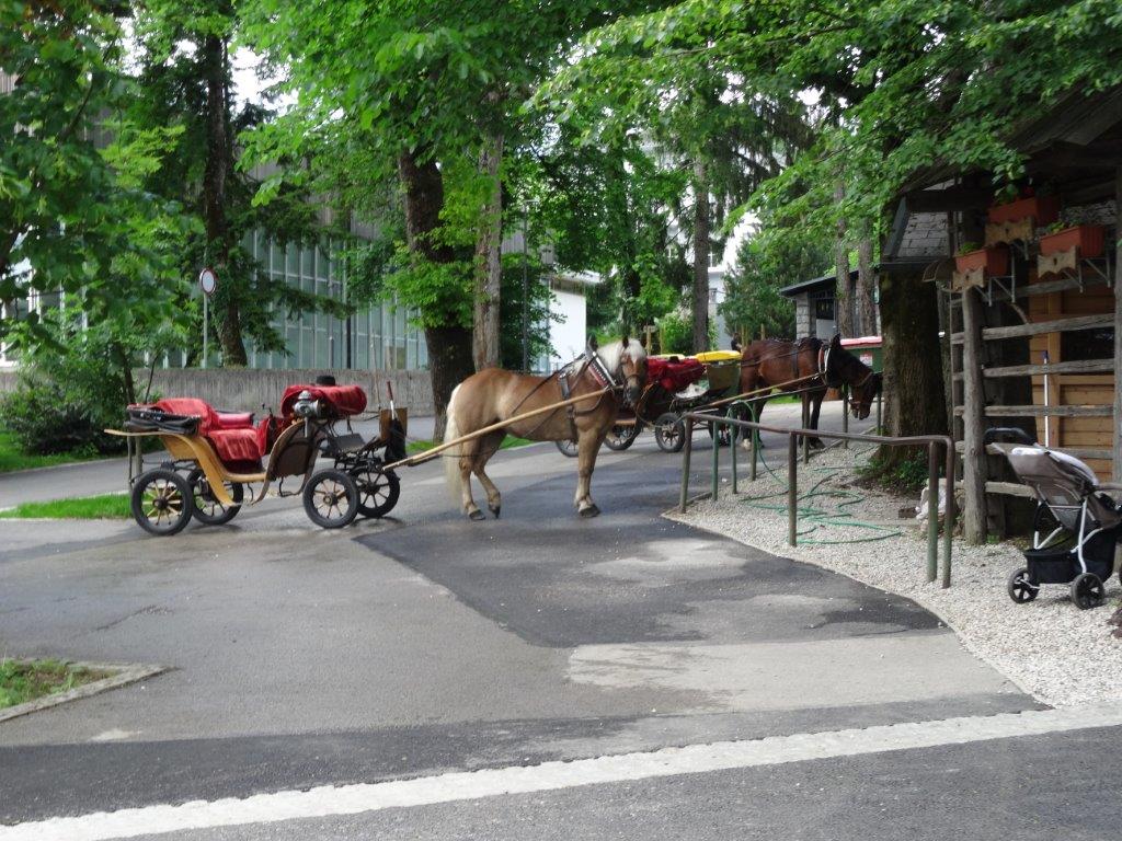 Słowenia maj 2018-05-21 212.jpg