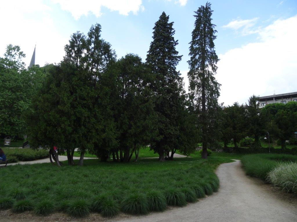 Słowenia maj 2018-05-21 214.jpg