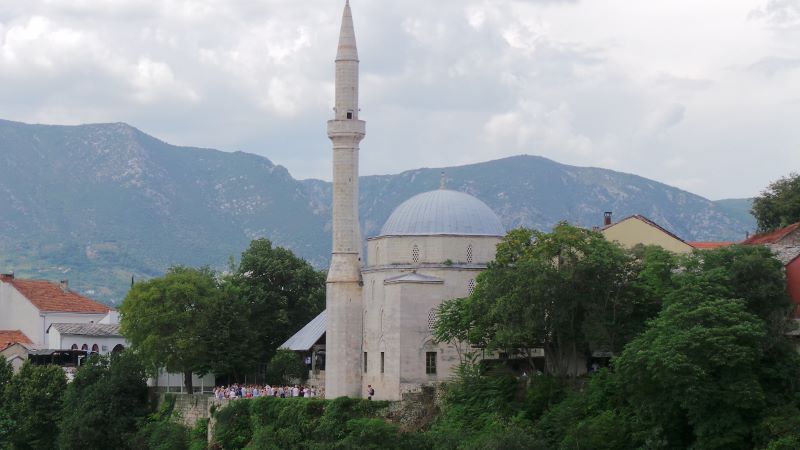 20140803_150403 (800x450).jpg