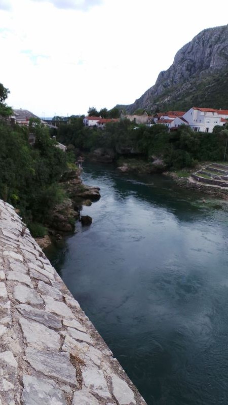 20140803_150433 (800x450).jpg