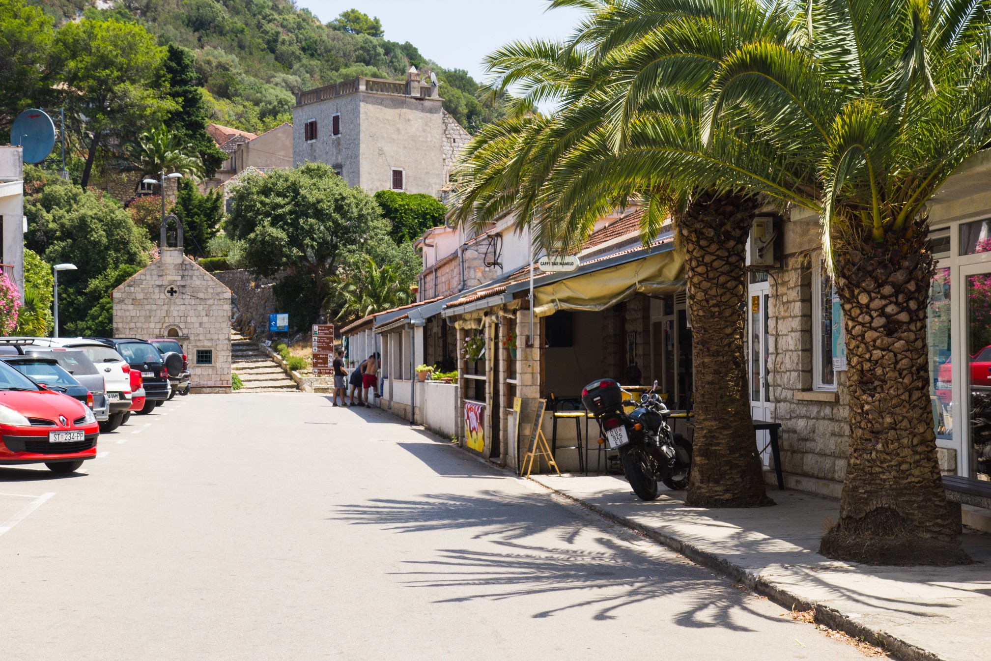 01 pjevor_renamed_16390.jpg