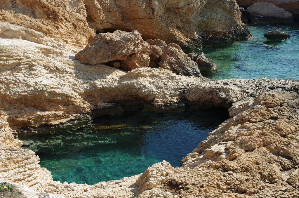 Pisina / IMGP2723_resize.JPG IMGP2723_resize.JPG