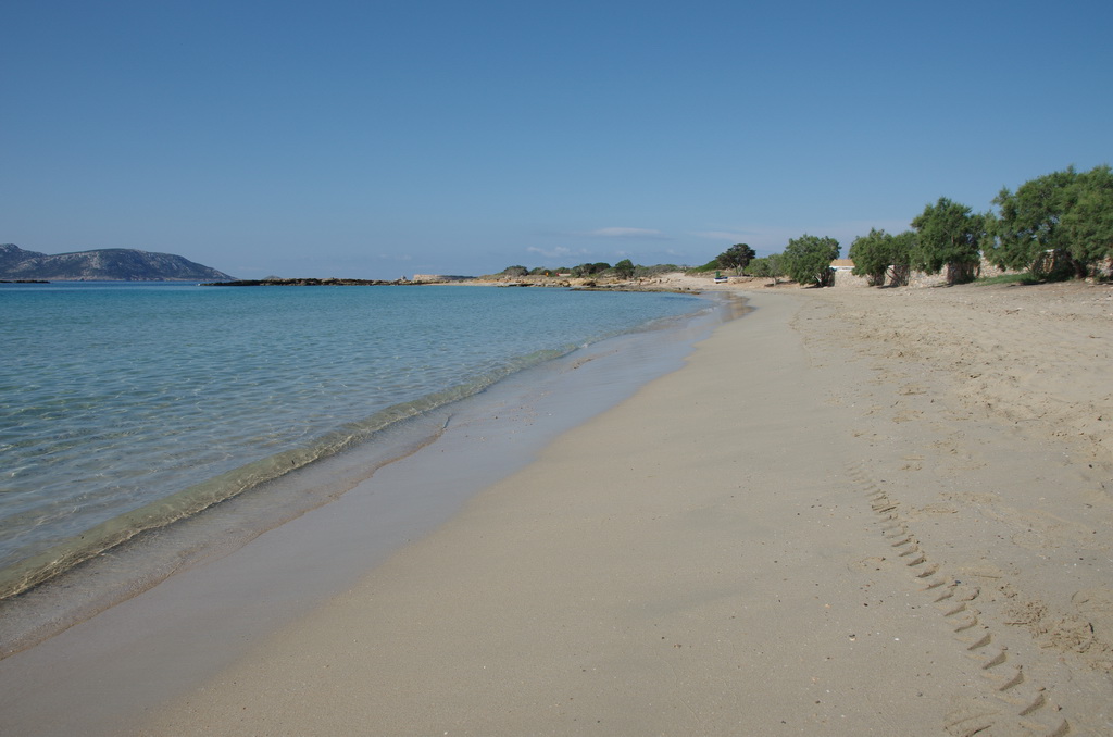 Fanos / IMGP2752_resize.JPG IMGP2752_resize.JPG