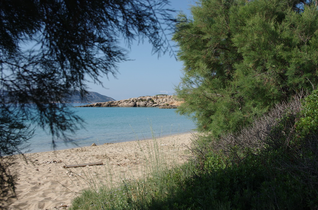 Fanos / IMGP2757_resize.JPG IMGP2757_resize.JPG