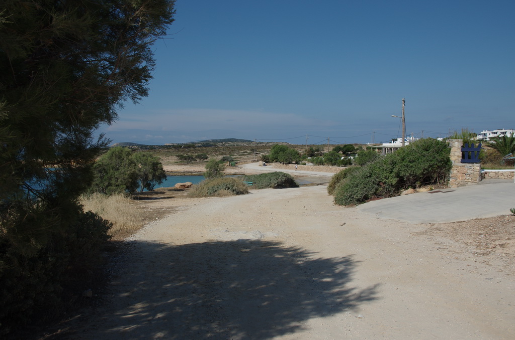 Finikas / IMGP2762_resize.JPG IMGP2762_resize.JPG