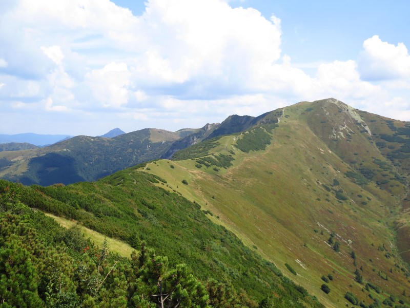 2018-08-18-13h20m15 (Custom).JPG