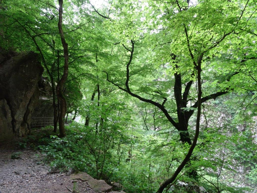 Słowenia maj 2018-05-22 030.jpg