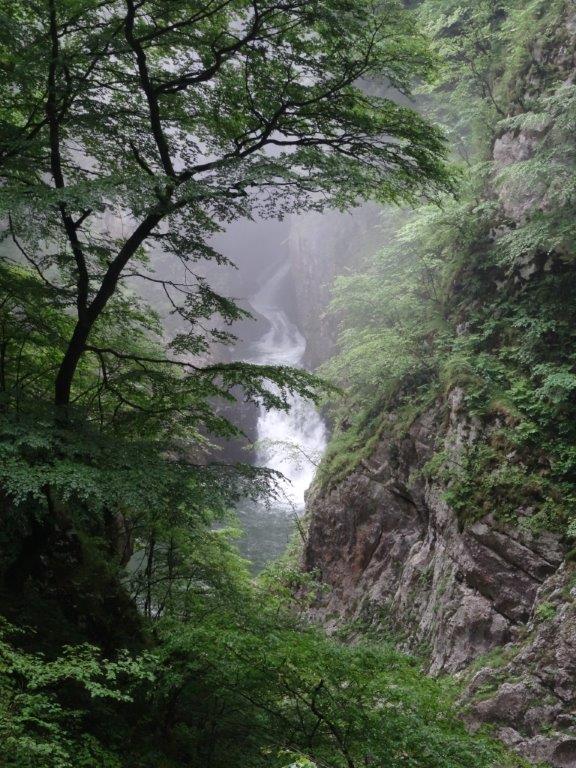 Słowenia maj 2018-05-22 034.jpg