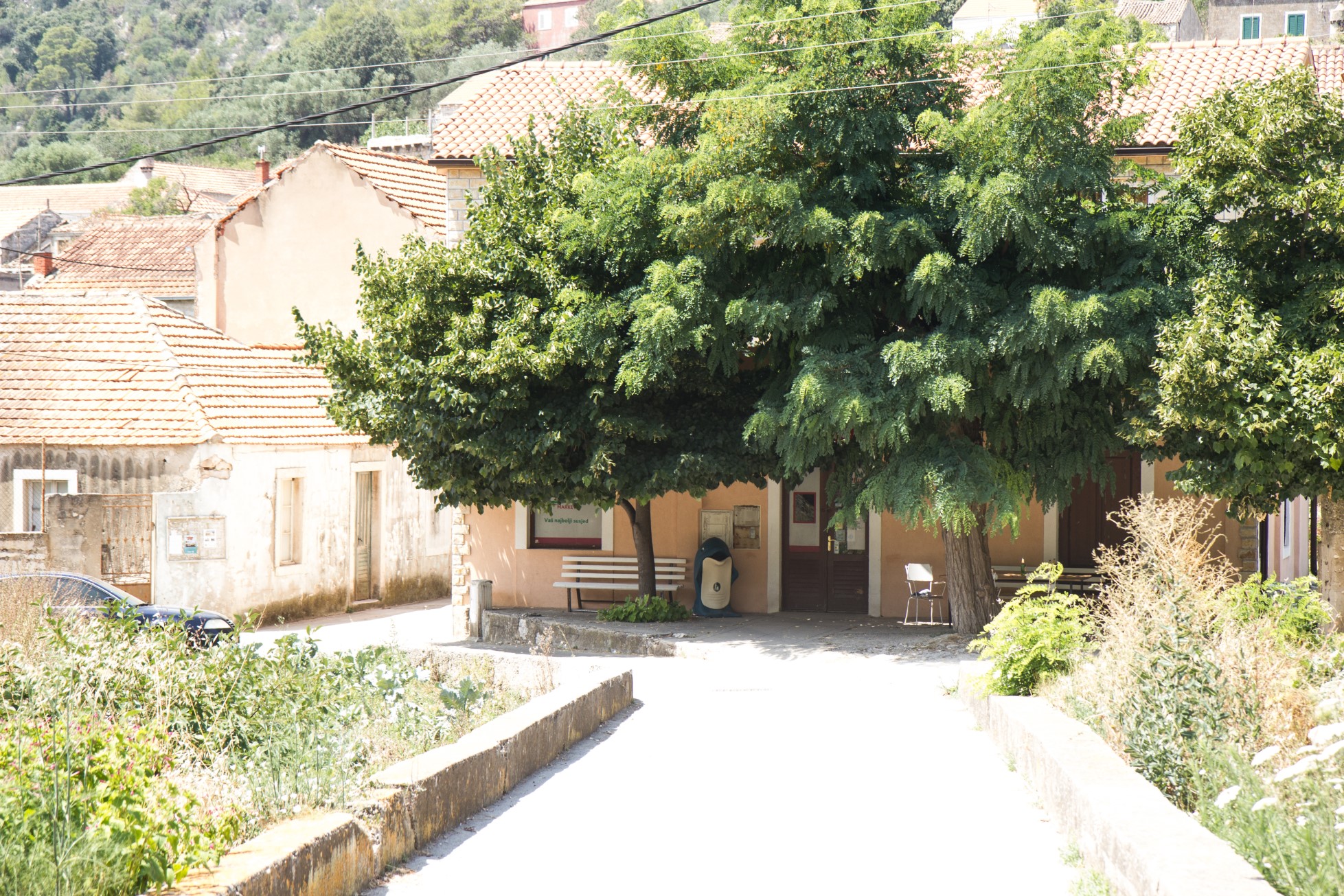 A za tymi drzewami chowa się wiecznie zamknięty sklep marki Plus. / 90 sklepik na dole_renamed_6287.jpg 90 sklepik na dole_renamed_6287.jpg