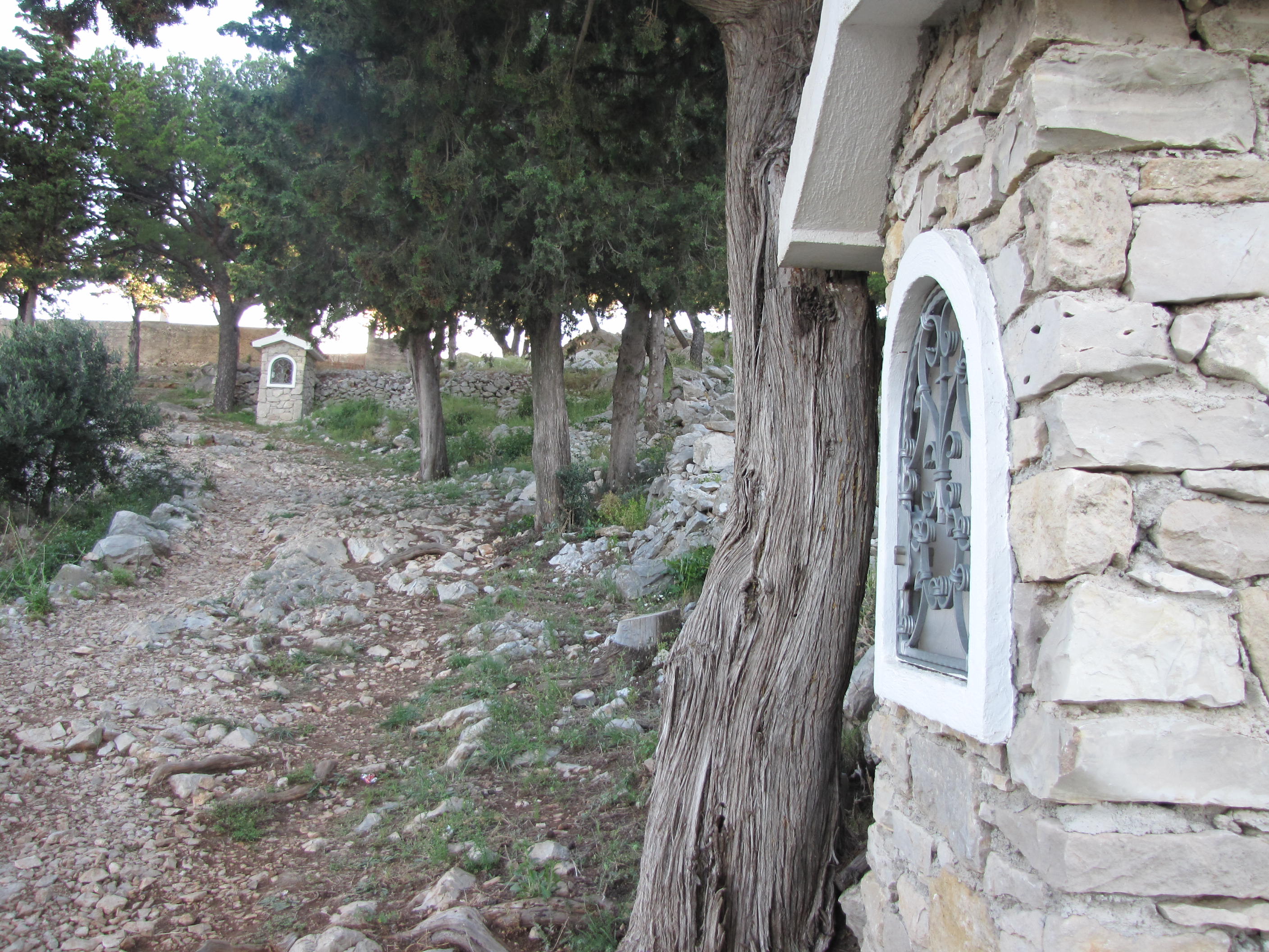 Droga krzyżowa na wzgórze / IMG_0341.JPG IMG_0341.JPG