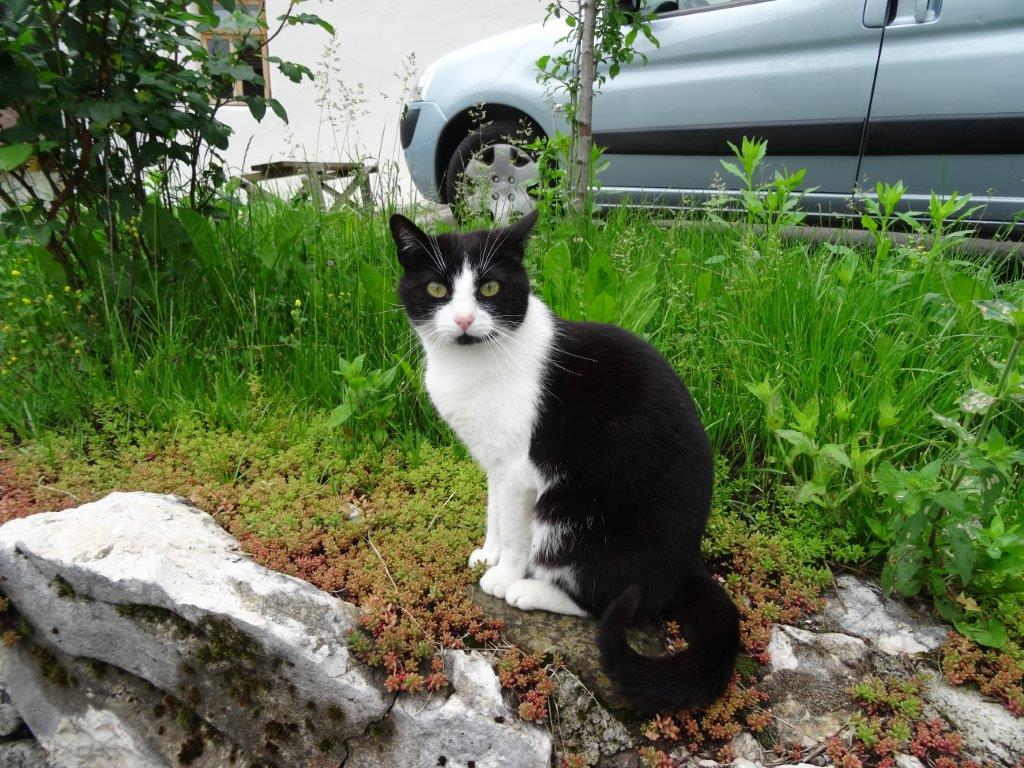 Słowenia maj 2018-05-23 079.jpg