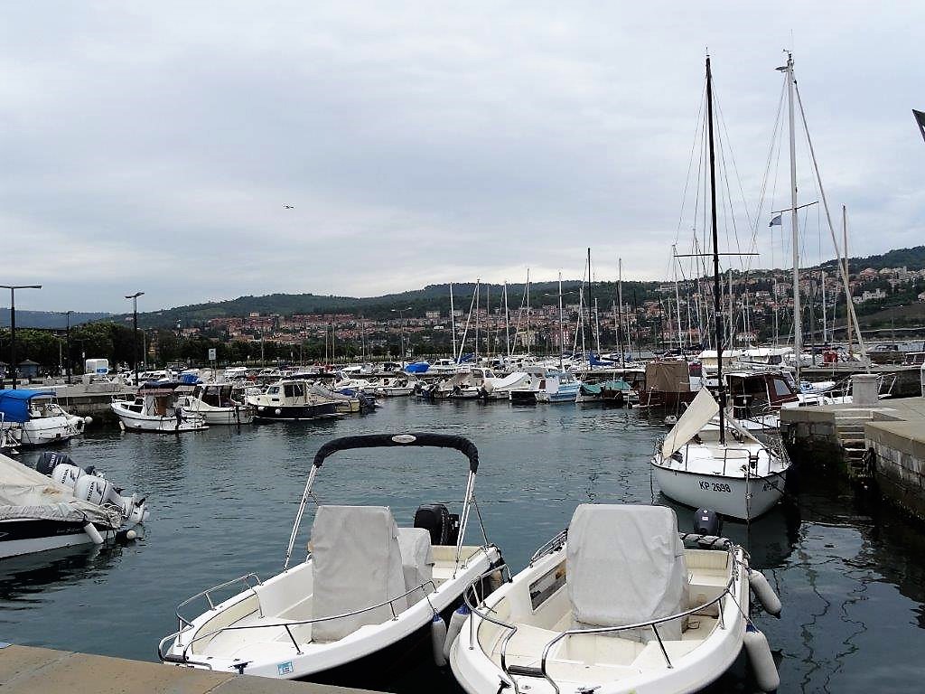 Słowenia maj 2018-05-23 201.jpg