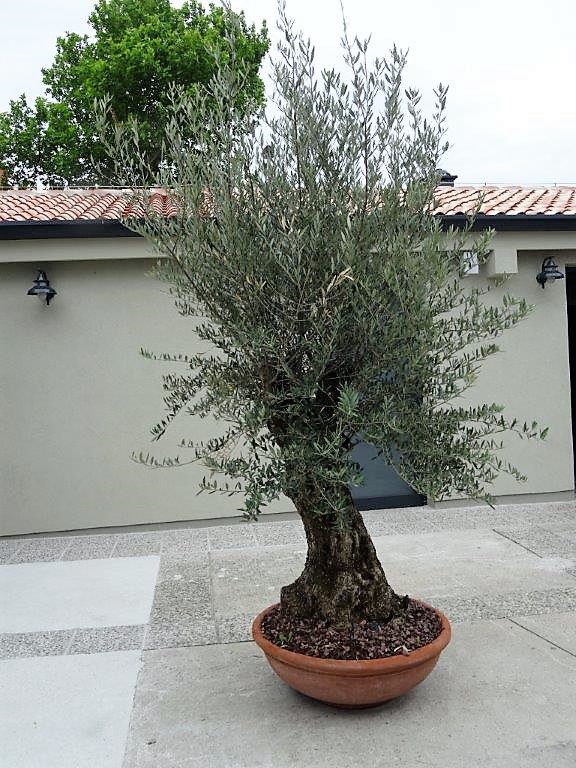 Słowenia maj 2018-05-23 236.jpg