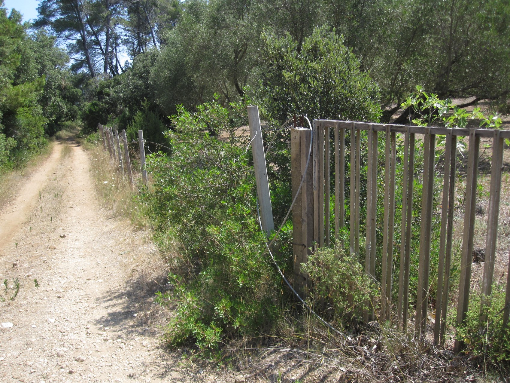 05 droga przy płocie_renamed_32596.jpg