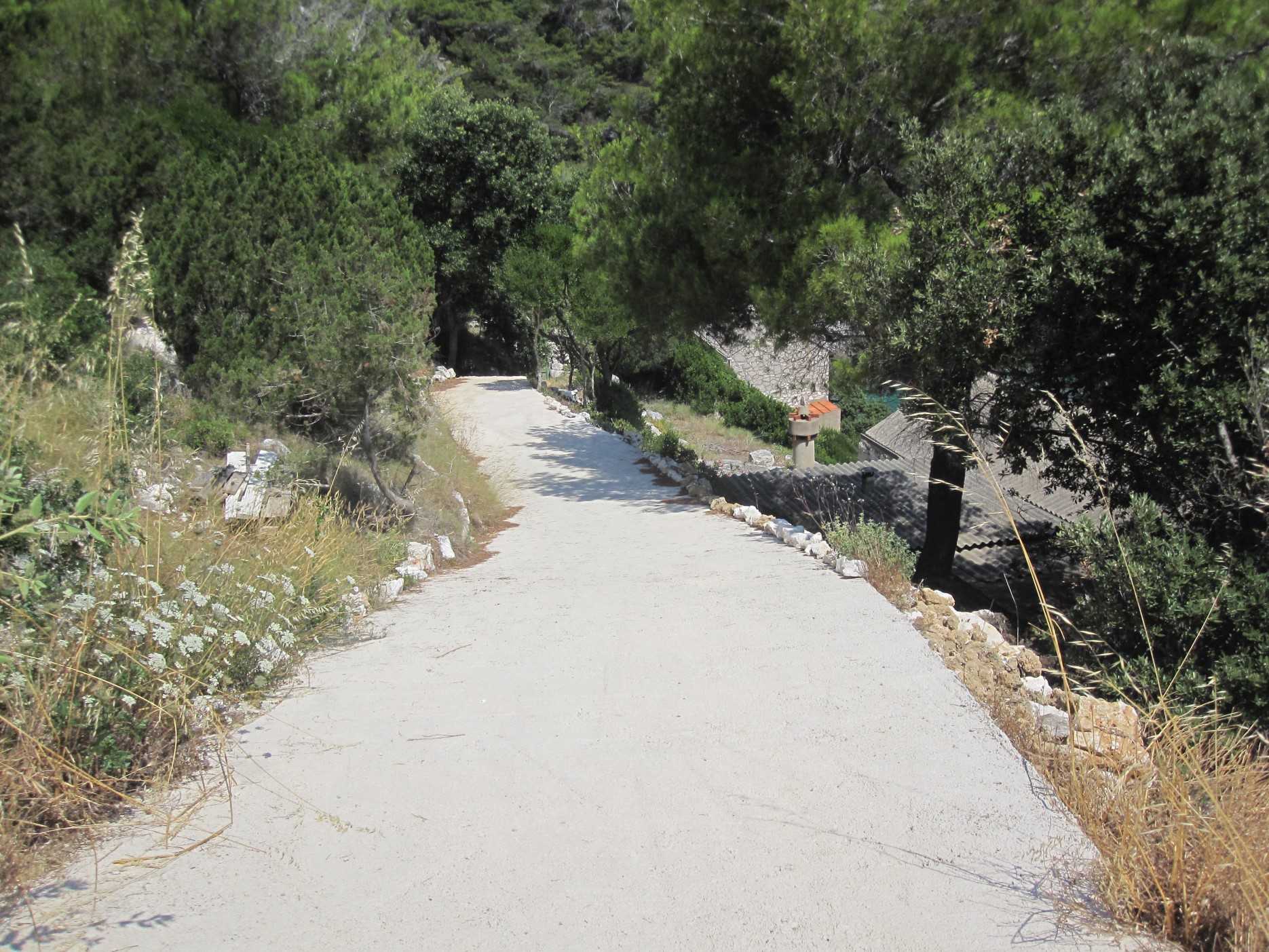 10 droga w dół.jpg