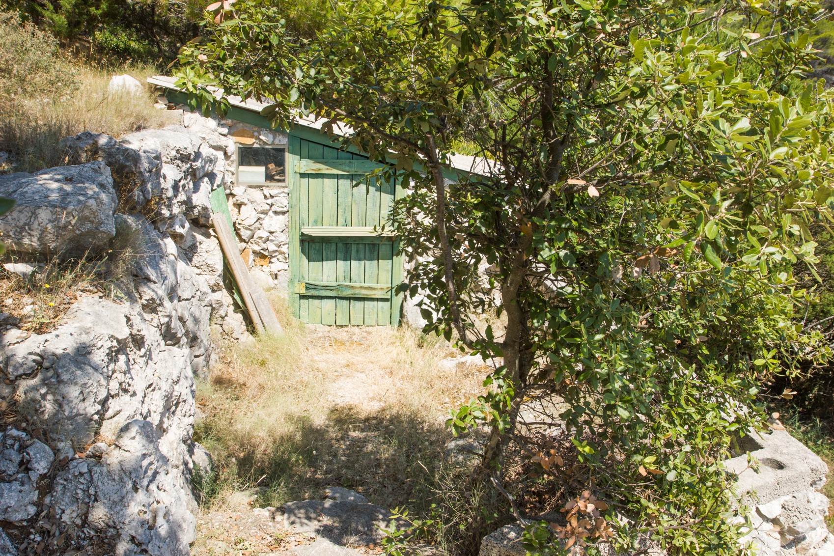 11 komórka_renamed_20739.jpg