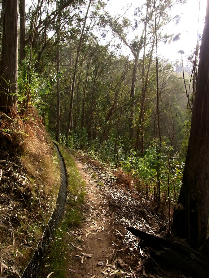 P16G0095.JPG