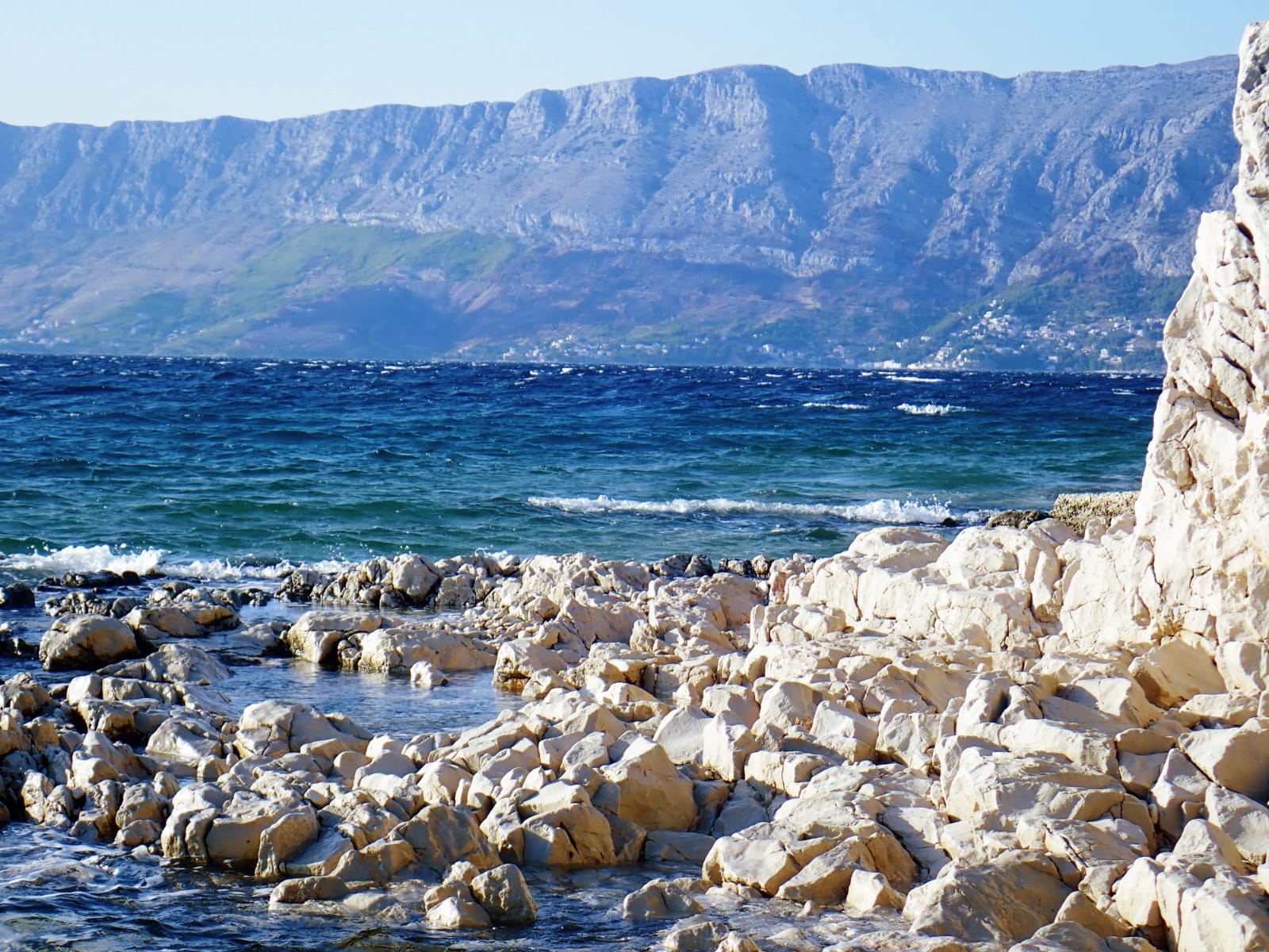 WhatsApp Image 2018-08-29 at 14.44.51.jpeg