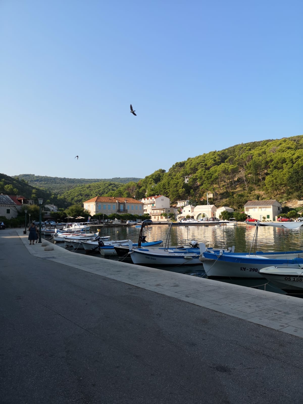 WhatsApp Image 2018-08-30 at 19.29.56.jpeg