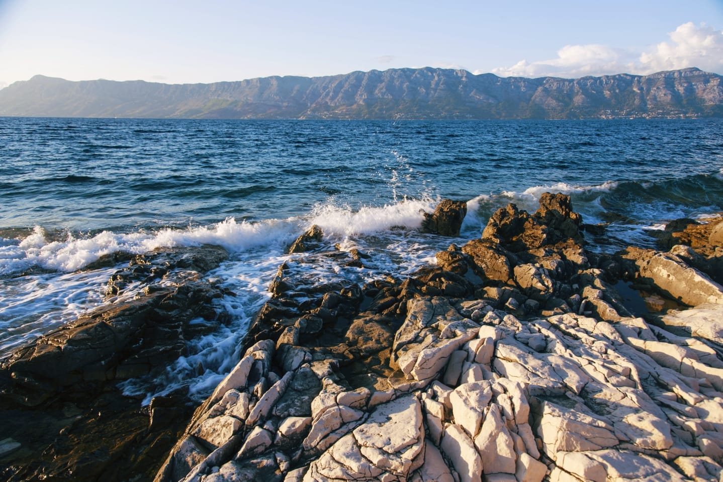 WhatsApp Image 2018-09-03 at 22.04.37.jpeg