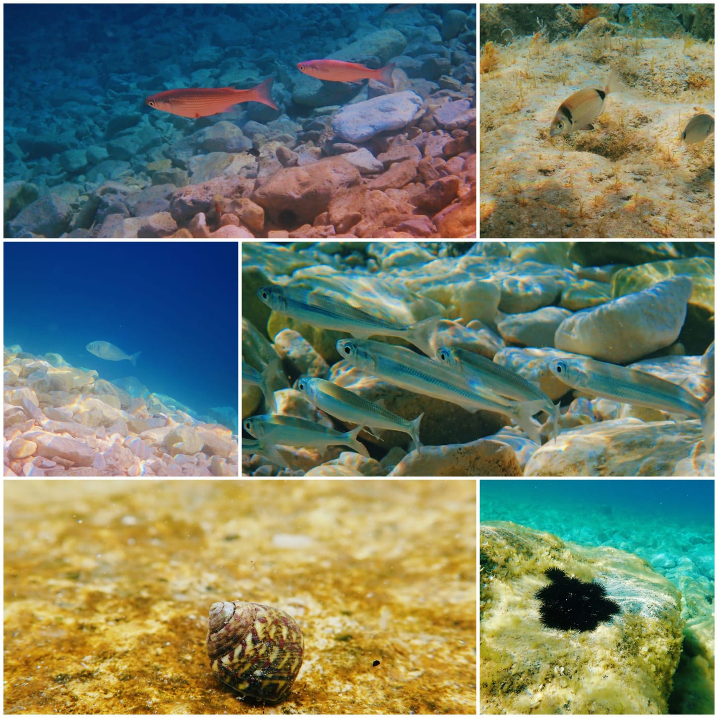 WhatsApp Image 2018-09-05 at 21.46.17.jpeg