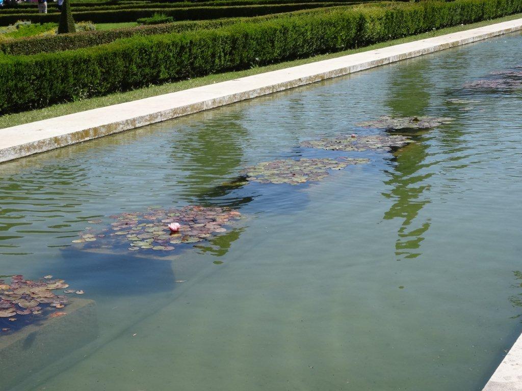 Podbój Iberii cz. I 2490.jpg