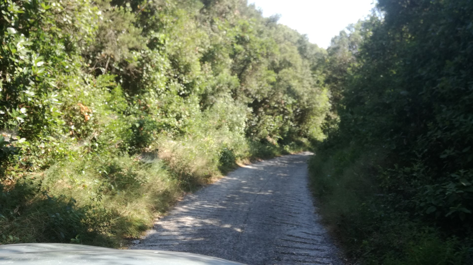 13 zjazd do rosoh.jpg