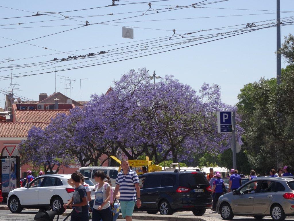 Podbój Iberii cz. I 2535.jpg