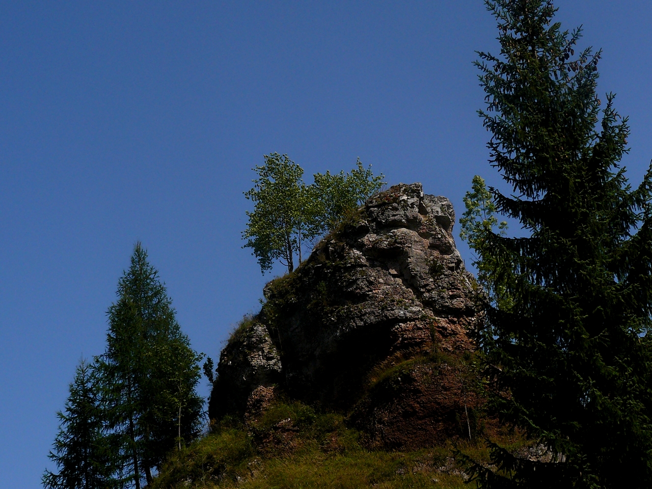 P1050740.JPG