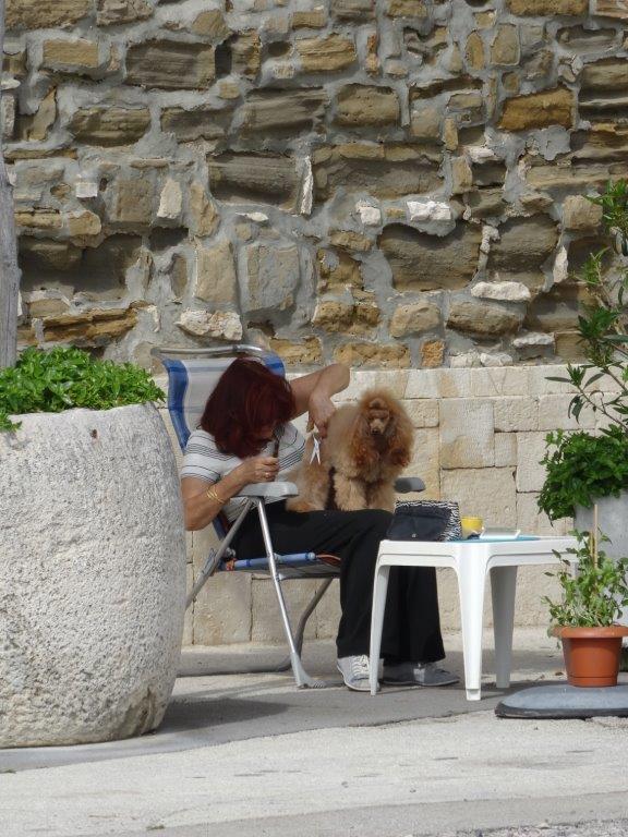 Słowenia maj 2018-05-23 417.jpg