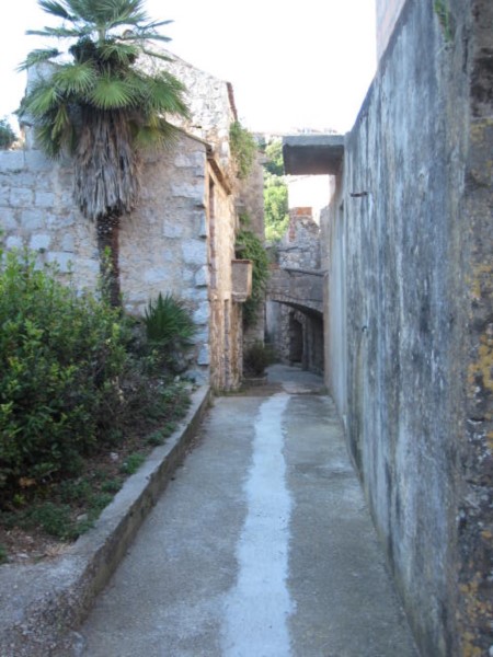 15 dolne 3 (450 x 600).jpg