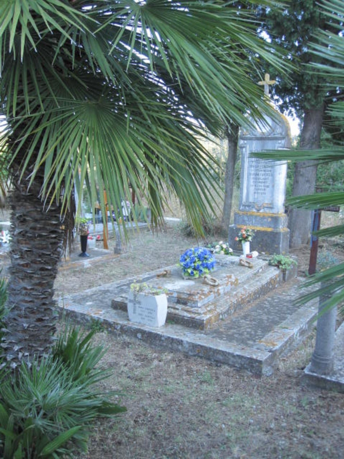 IMG_1345 (1310 x 1747).jpg