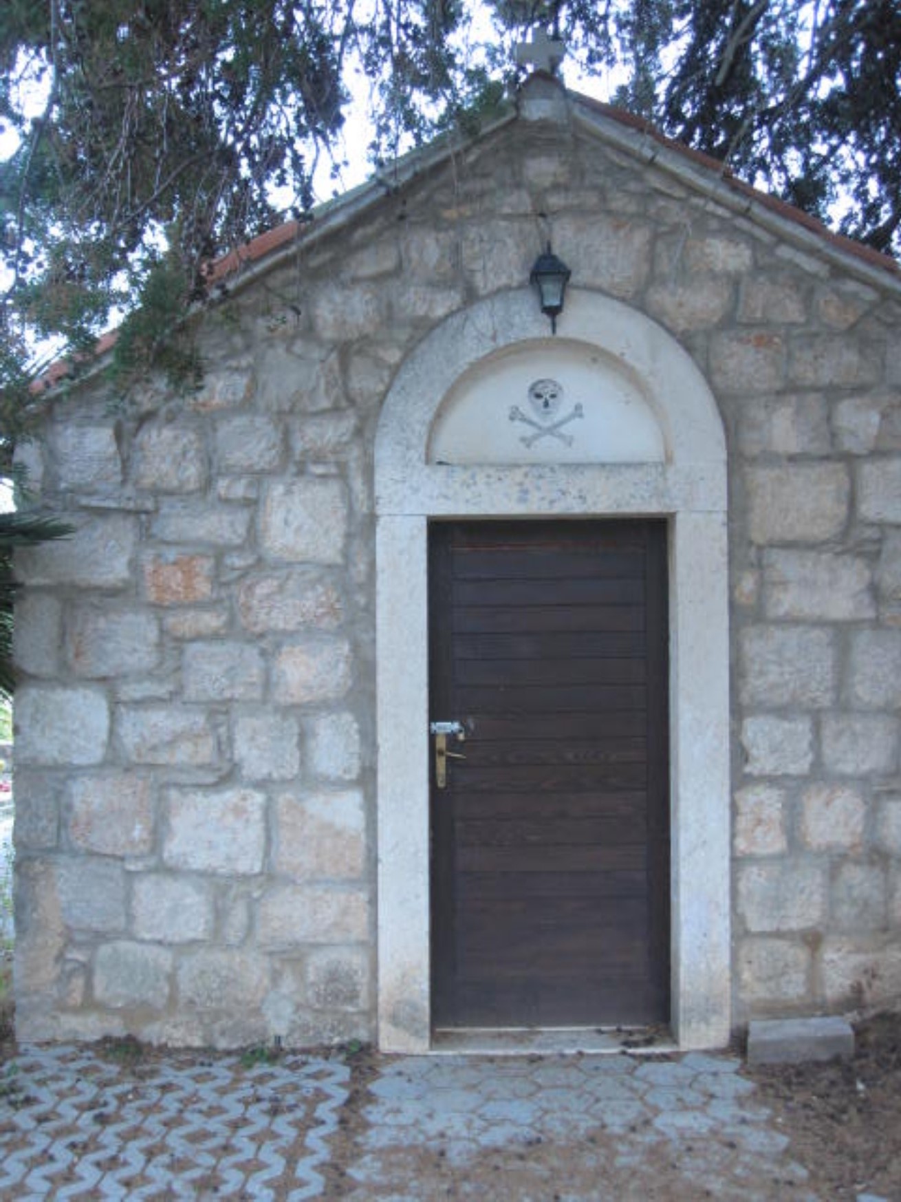 IMG_1348 (1310 x 1747).jpg