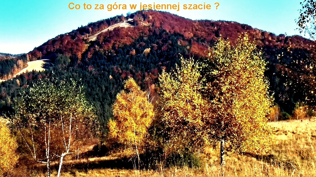 górka.jpg