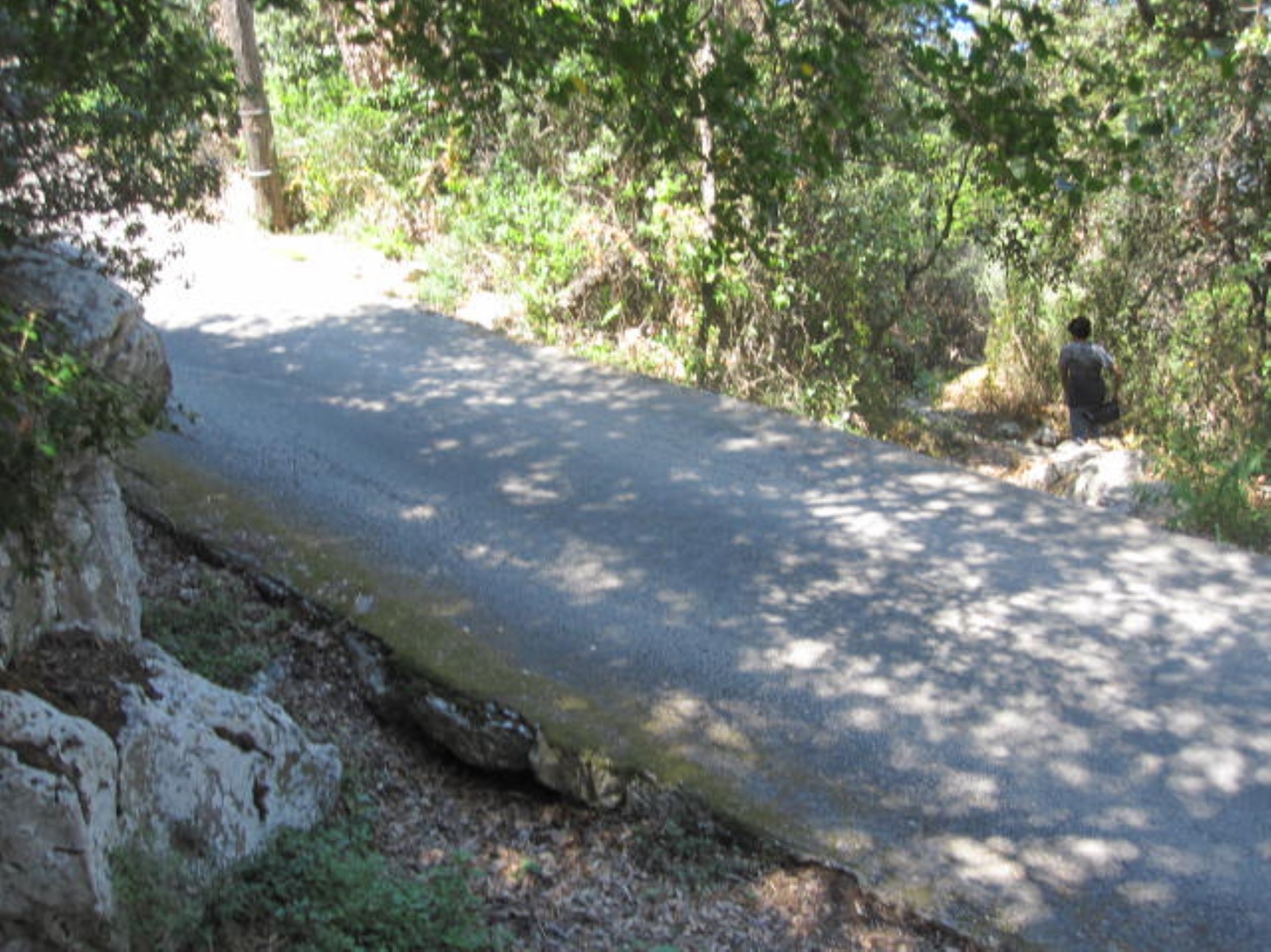 05 (1727 x 1295).jpg