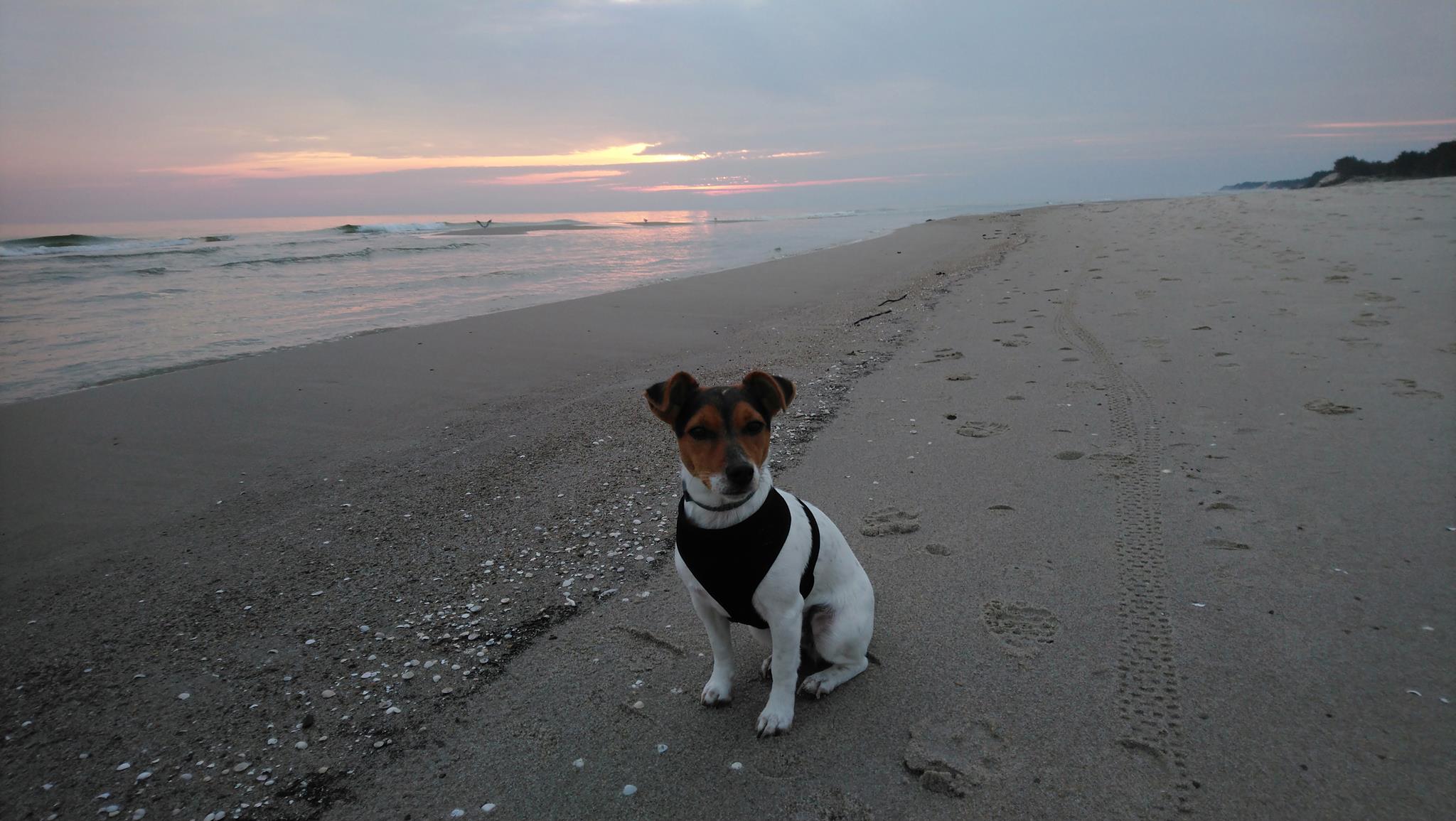 DSC_4067 (1) (Copy).JPG