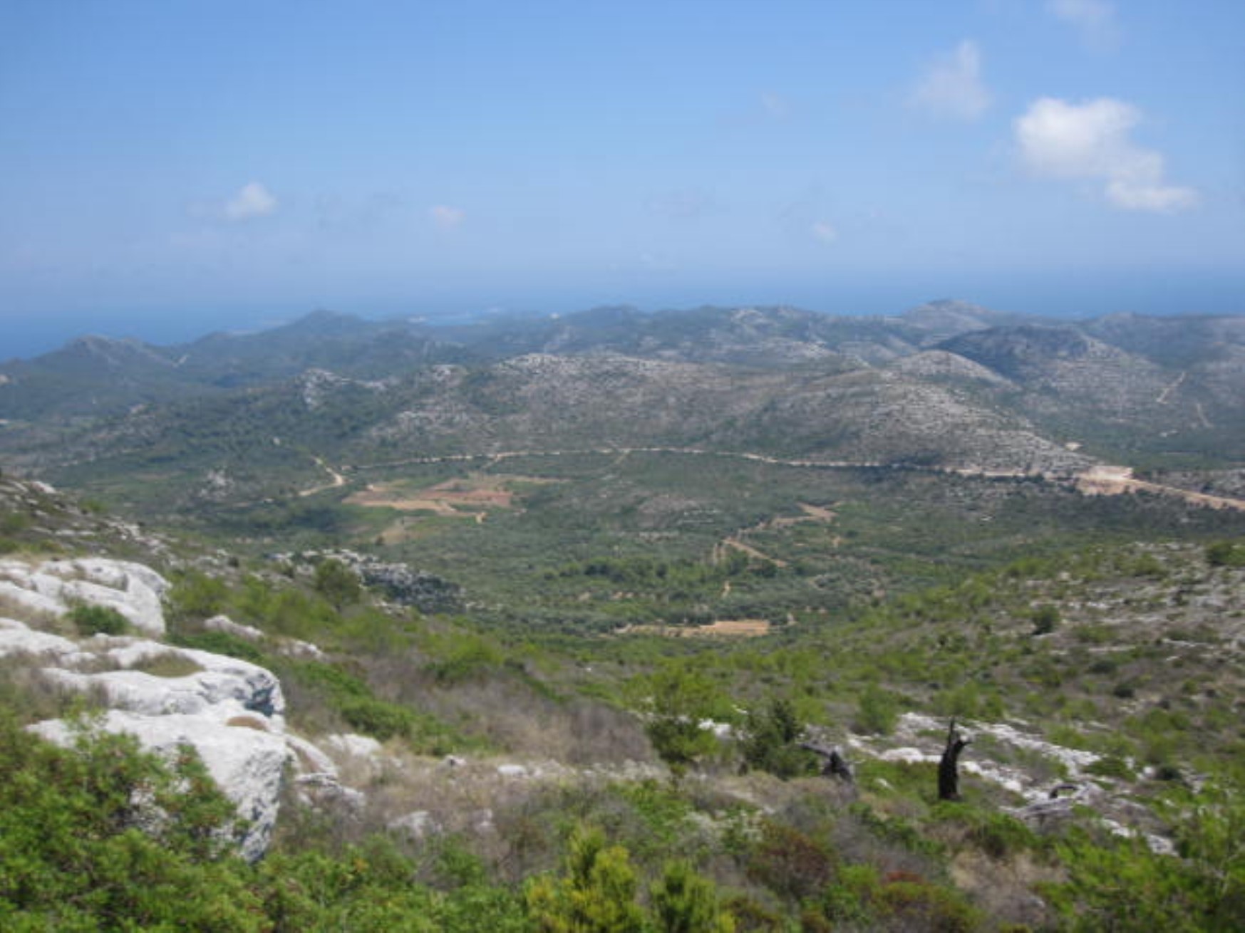 03 żyzna dolina.jpg