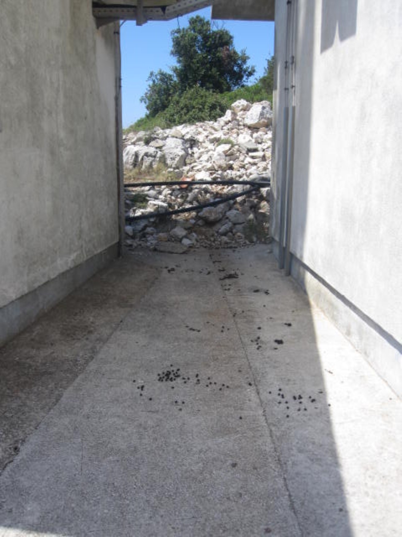 10 bobki stacja meteo (1310 x 1747).jpg