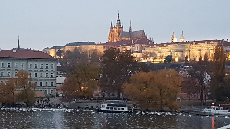 20181102_164953 (002) praga.jpg