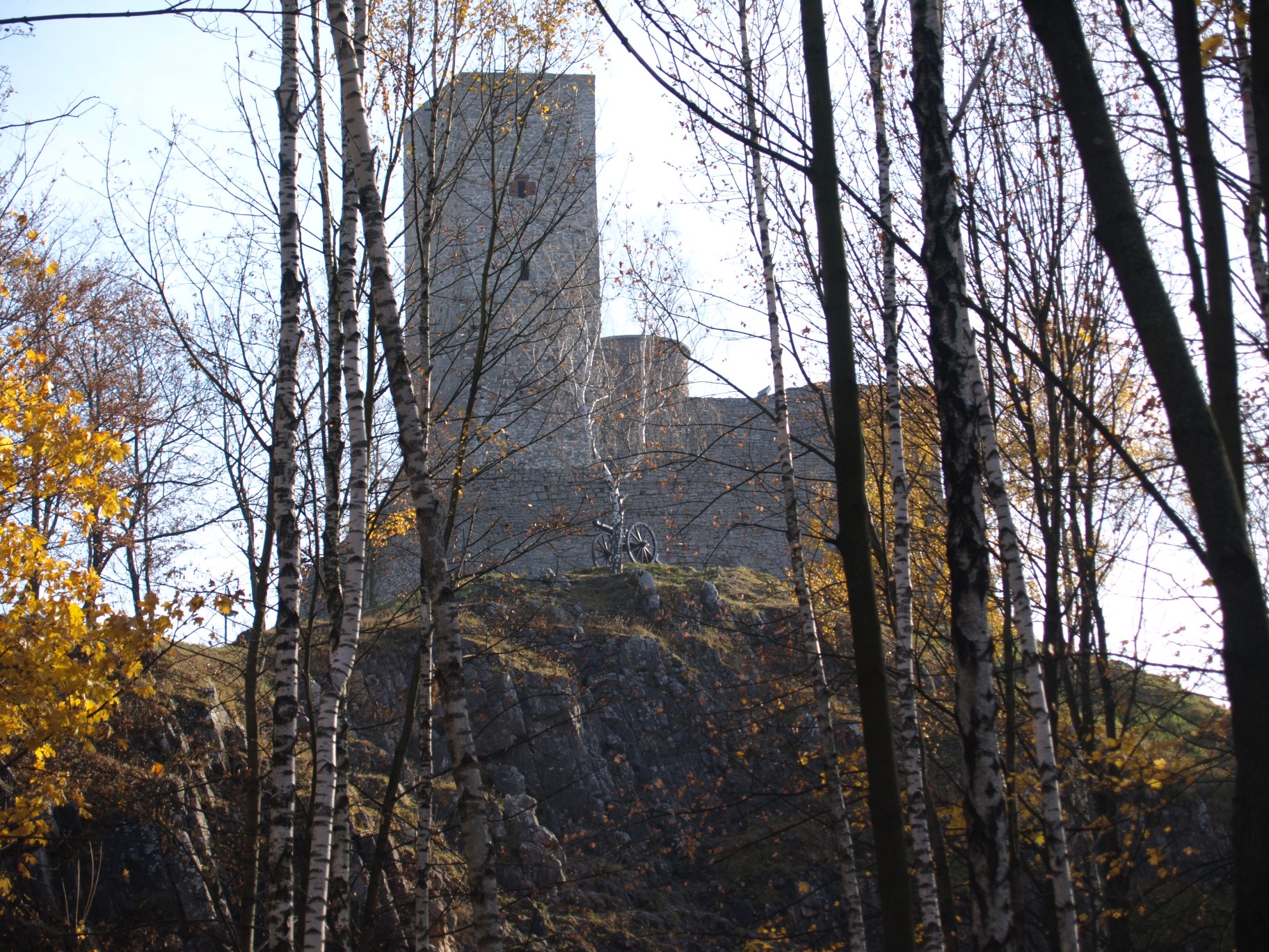 pb028230_1.jpg