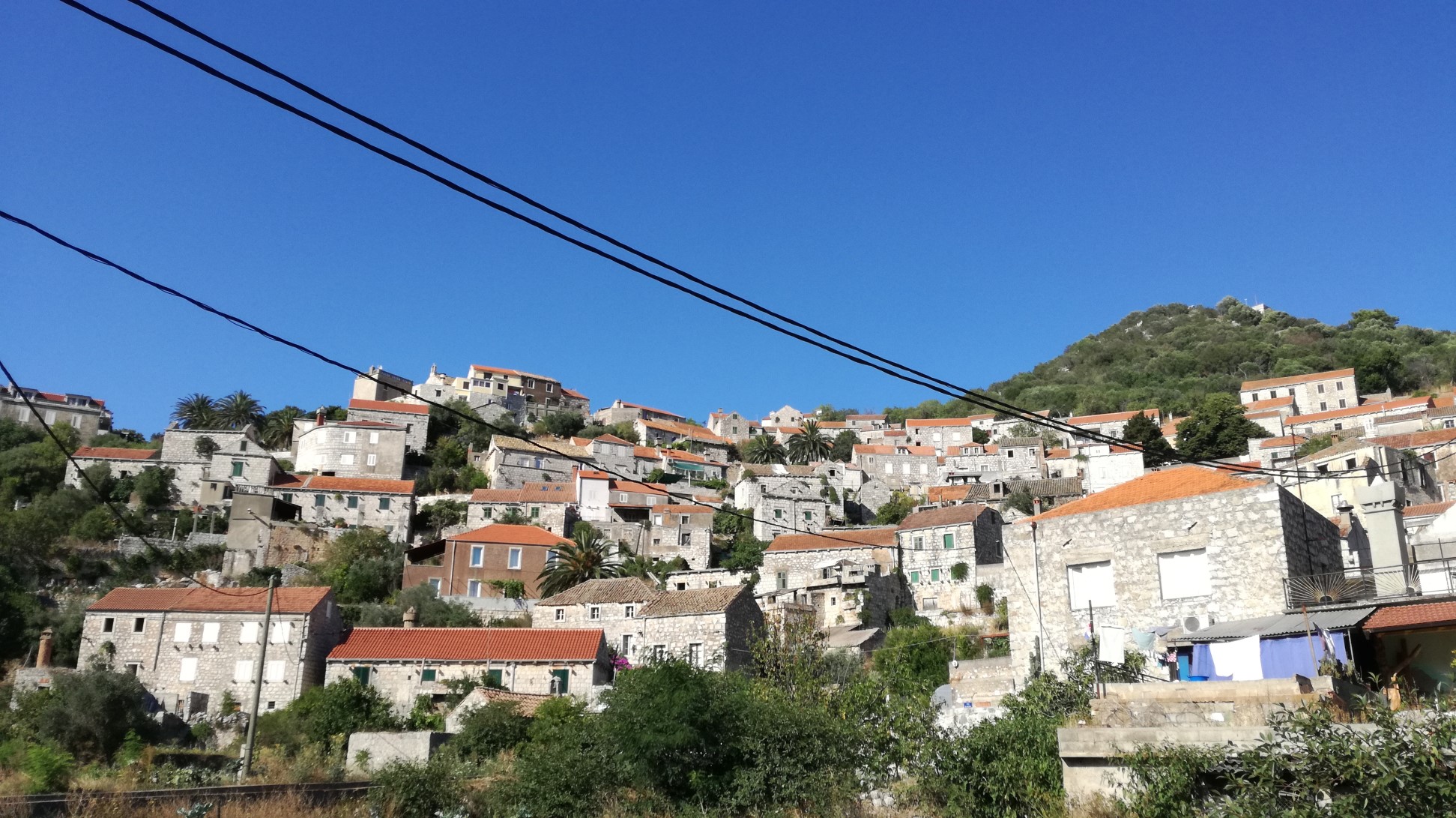 11 lastovo z dołu.jpg