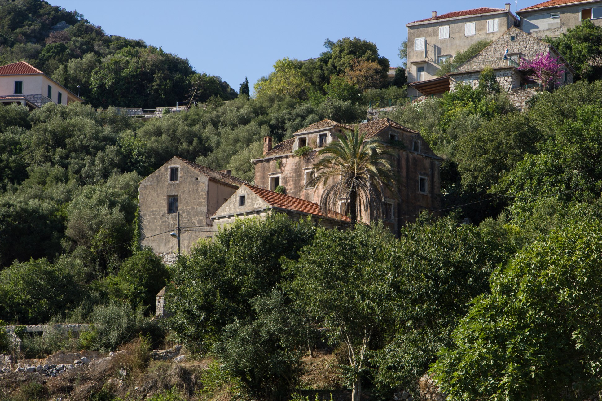 12 zielone lastovo.jpg